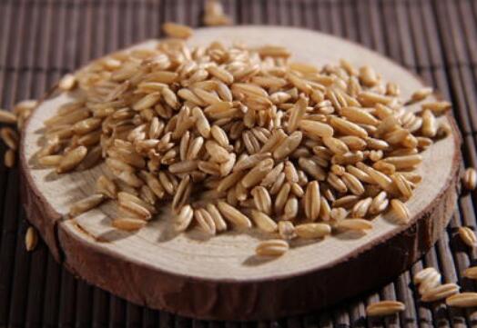 吃燕麦米的益处 燕麦米不可以和什么一起吃